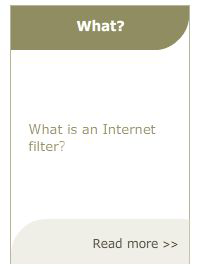 What is a URL filter?